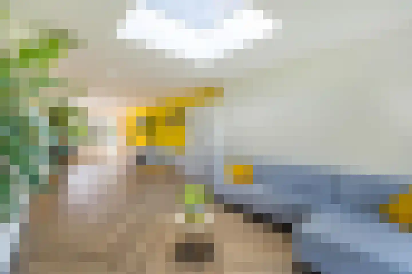 Borghoornsweg 56 Annen thumbnail 20