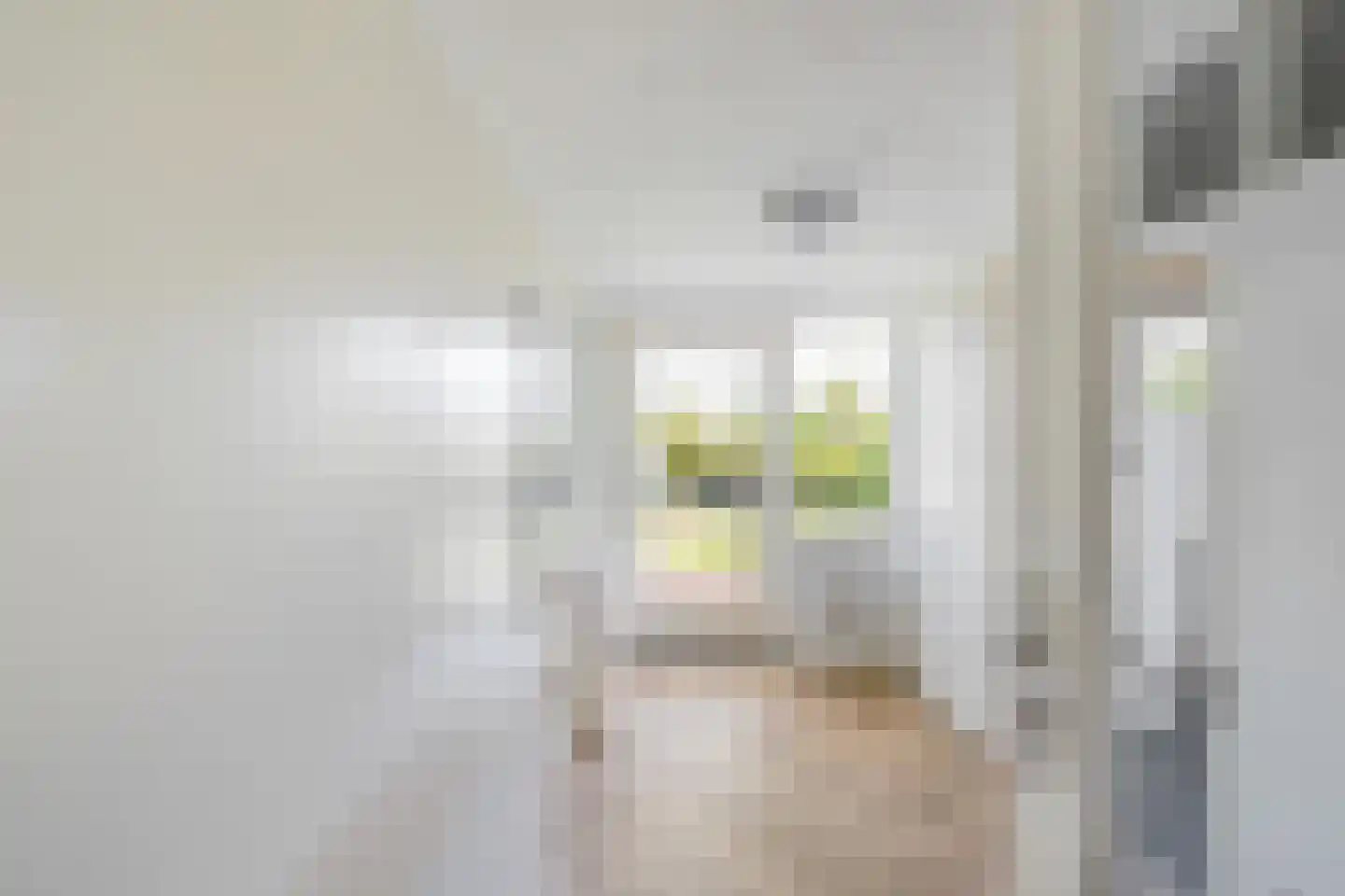 Borghoornsweg 56 Annen thumbnail 22