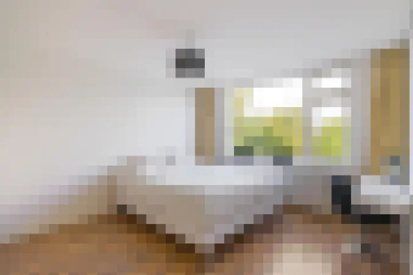 Borghoornsweg 56 Annen thumbnail 28