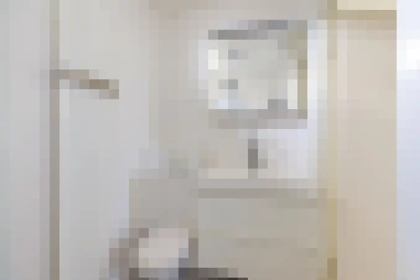 Borghoornsweg 56 Annen thumbnail 34