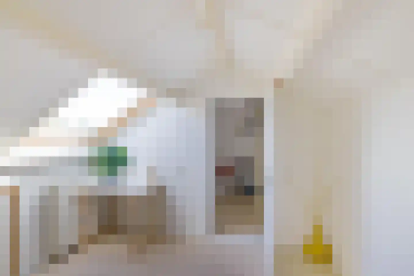 Borghoornsweg 56 Annen thumbnail 37