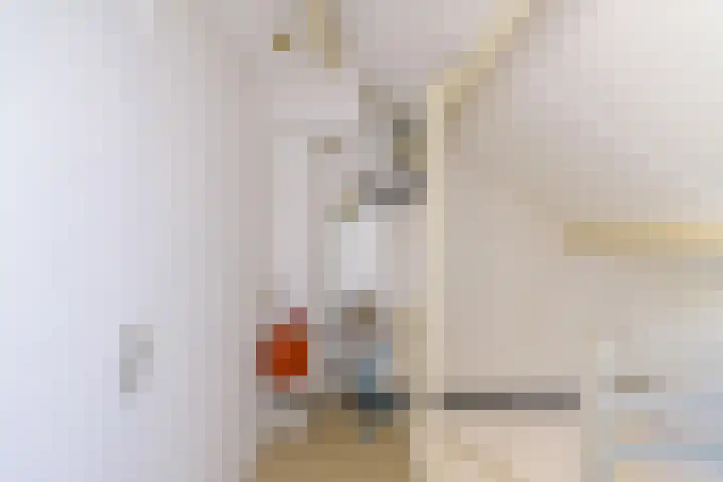 Borghoornsweg 56 Annen thumbnail 38