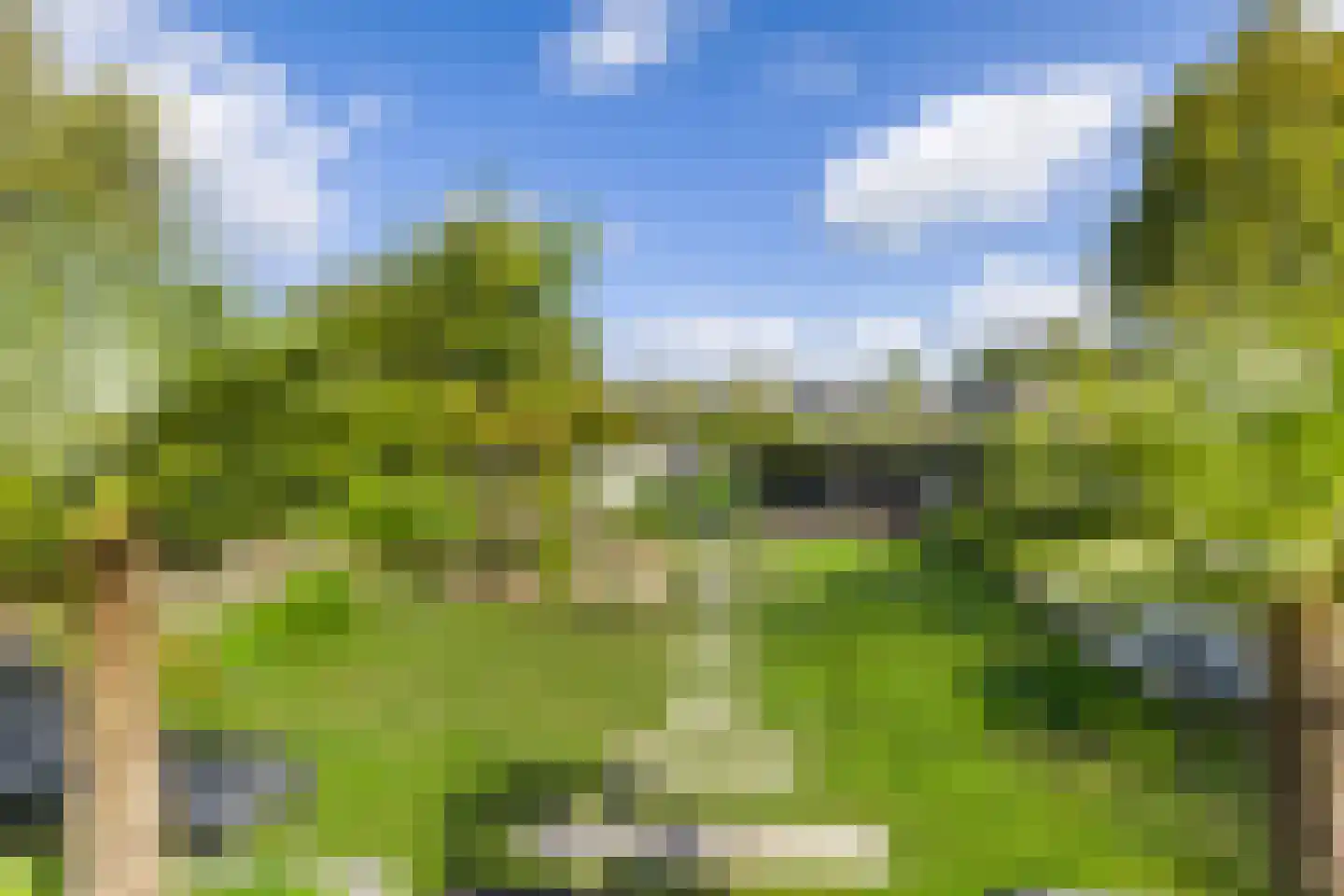 Borghoornsweg 56 Annen thumbnail 43