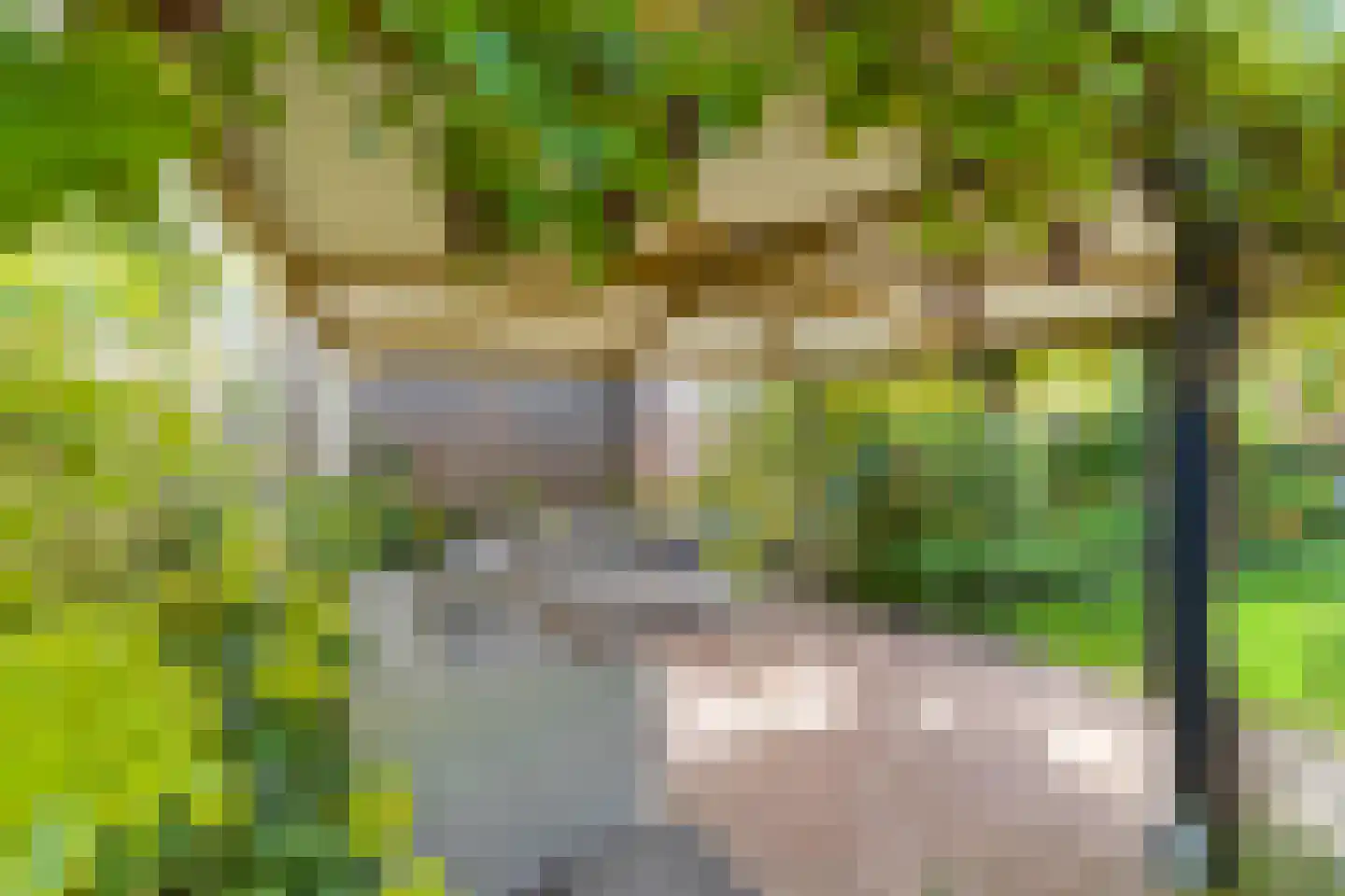 Borghoornsweg 56 Annen thumbnail 44