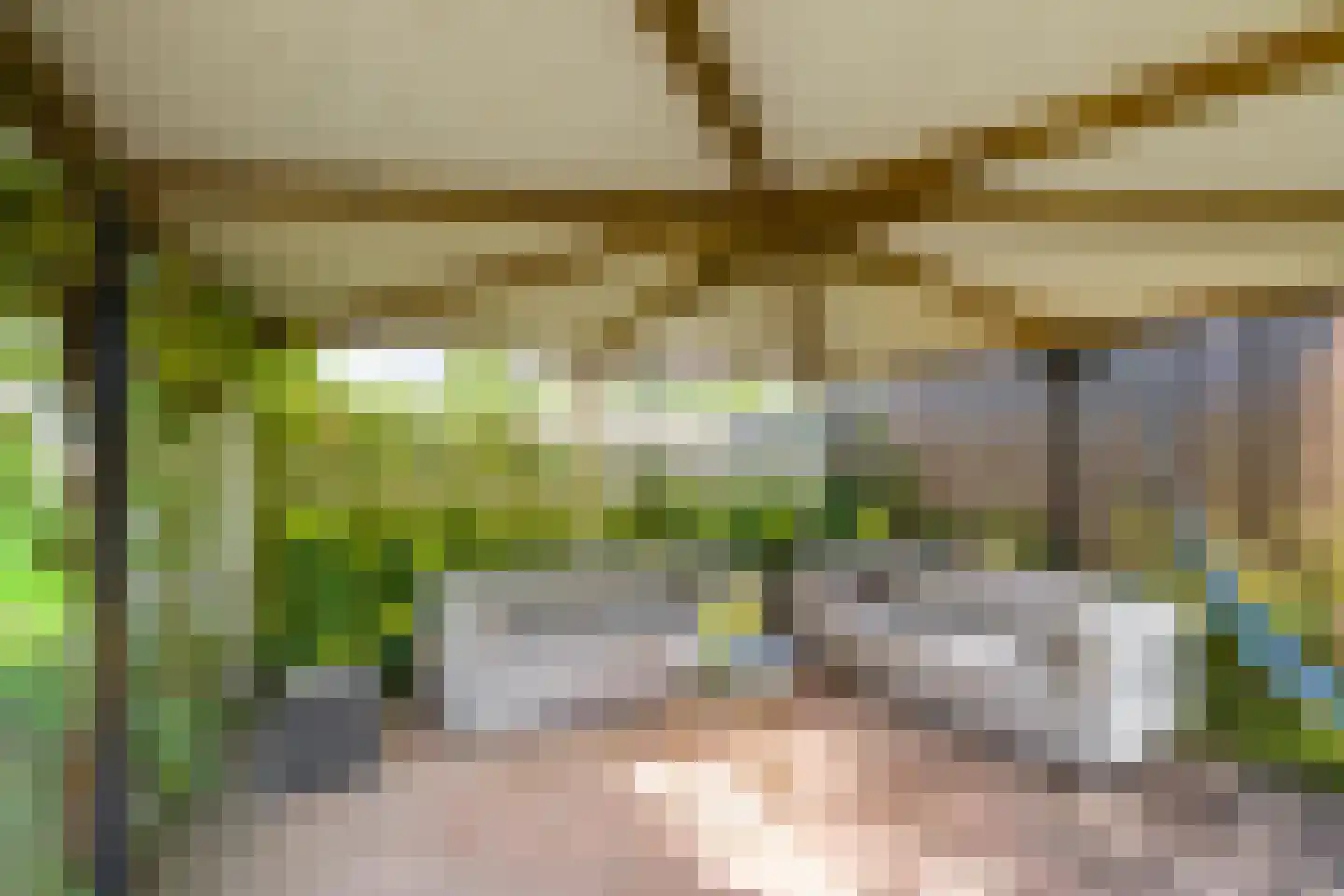 Borghoornsweg 56 Annen thumbnail 45