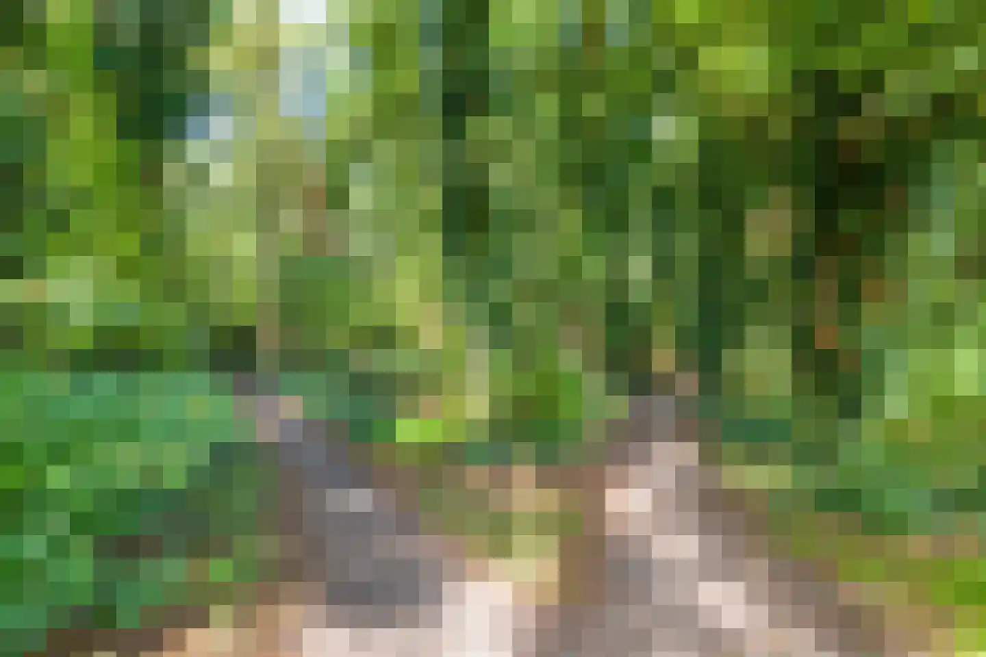 Borghoornsweg 56 Annen thumbnail 50
