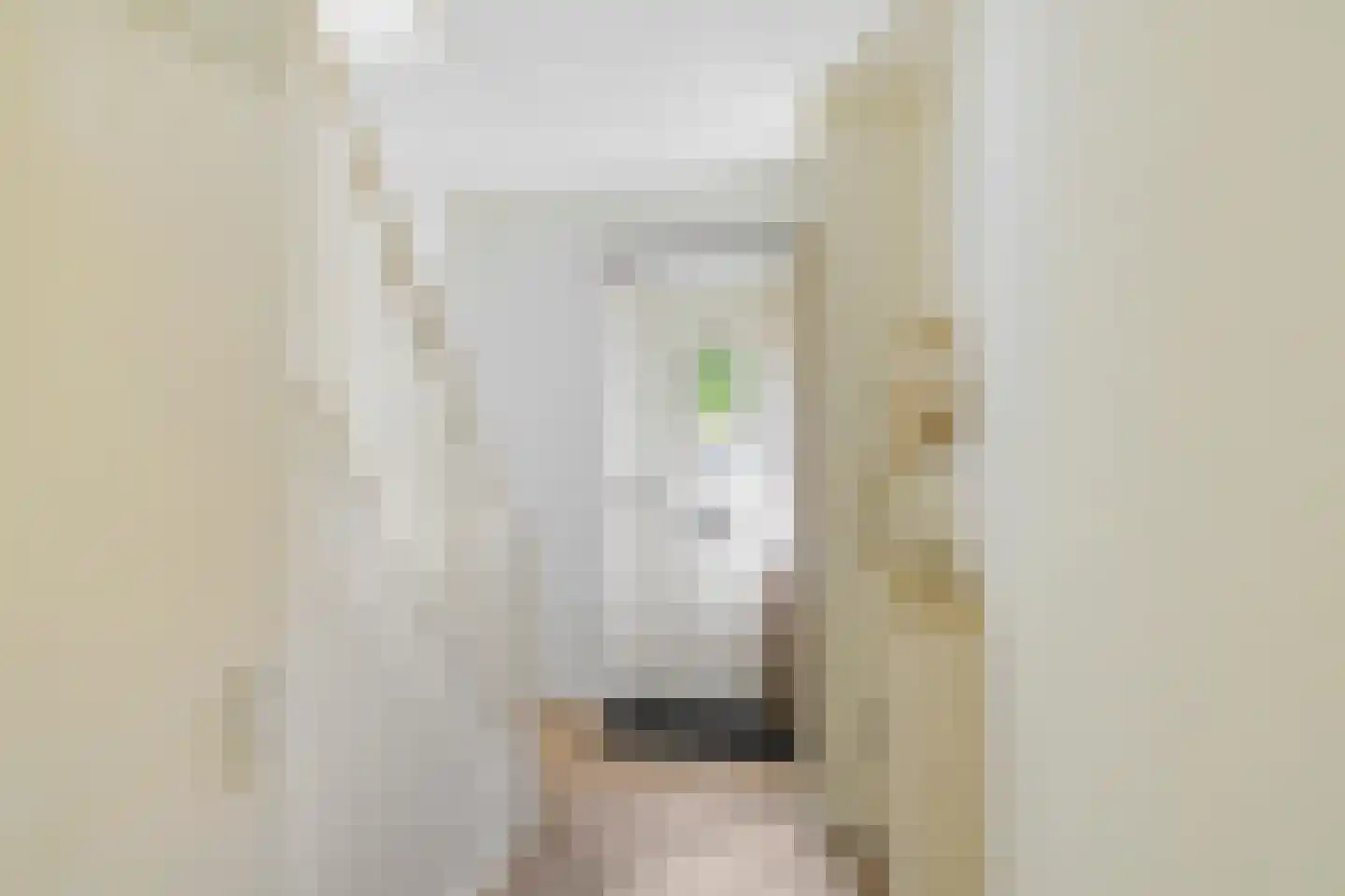 Borghoornsweg 56 Annen thumbnail 8