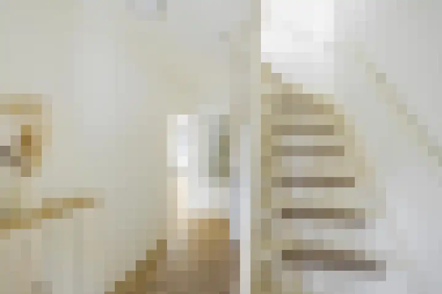 Borghoornsweg 56 Annen thumbnail 9