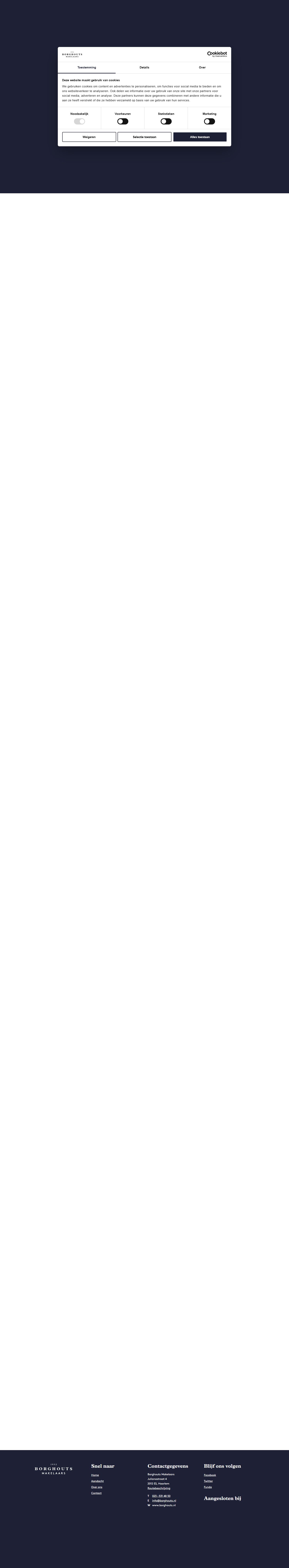 Screenshot of the website of www.borghouts.nl