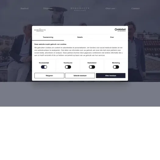 Screenshot van de website van www.borghouts.nl