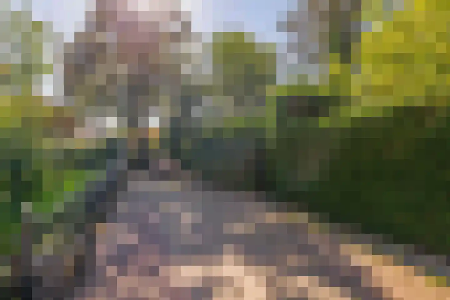 Borghoutspark 16 Veldhoven thumbnail 66