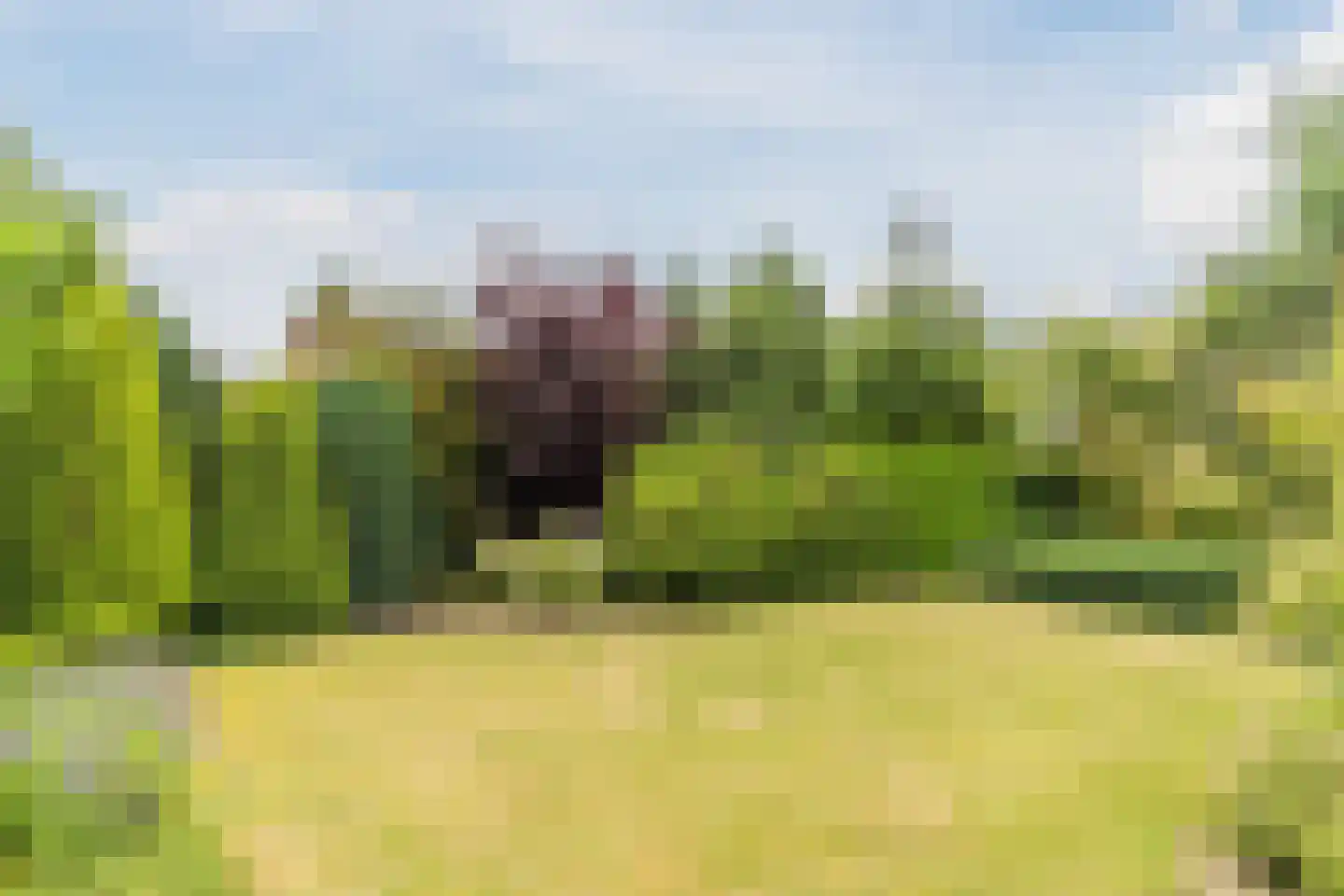 Borghoutspark 20 Veldhoven thumbnail 29