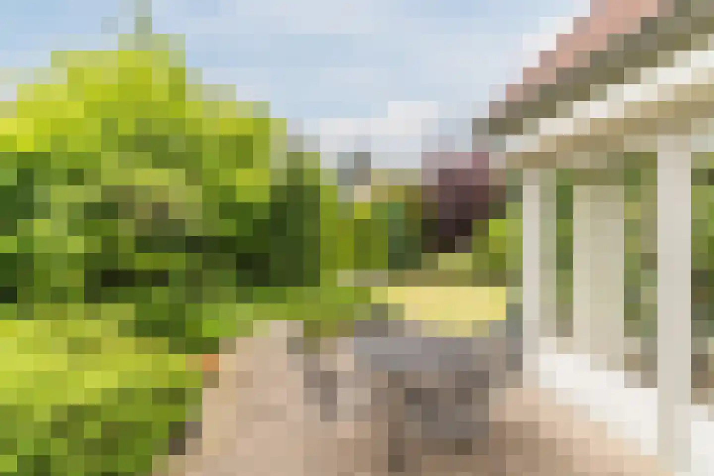 Borghoutspark 20 Veldhoven thumbnail 31