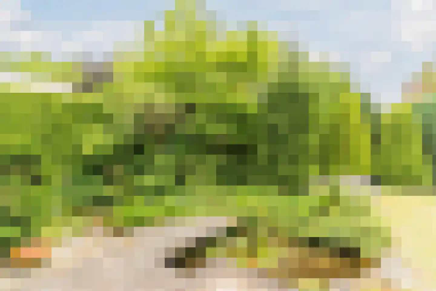 Borghoutspark 20 Veldhoven thumbnail 32