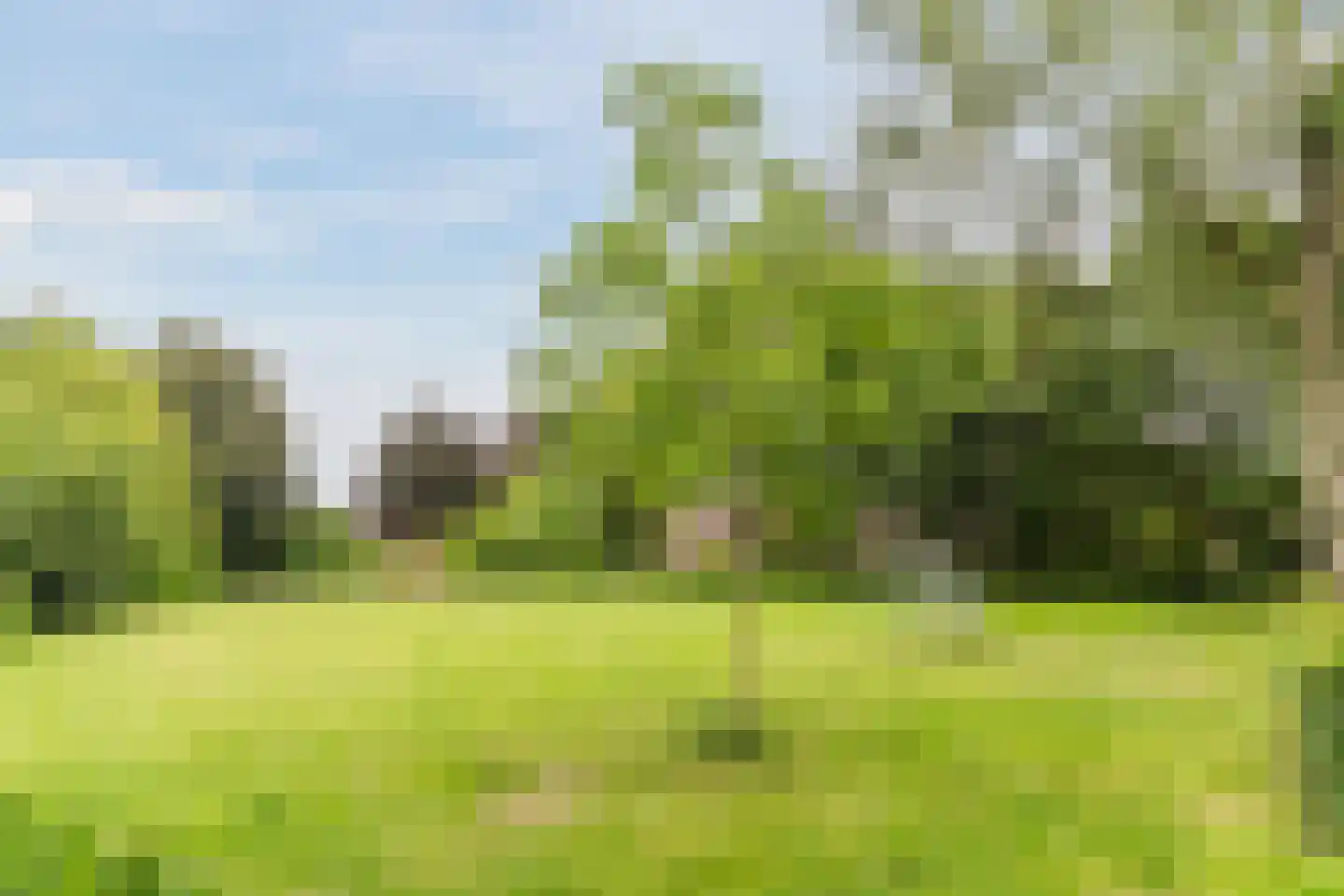 Borghoutspark 20 Veldhoven thumbnail 38