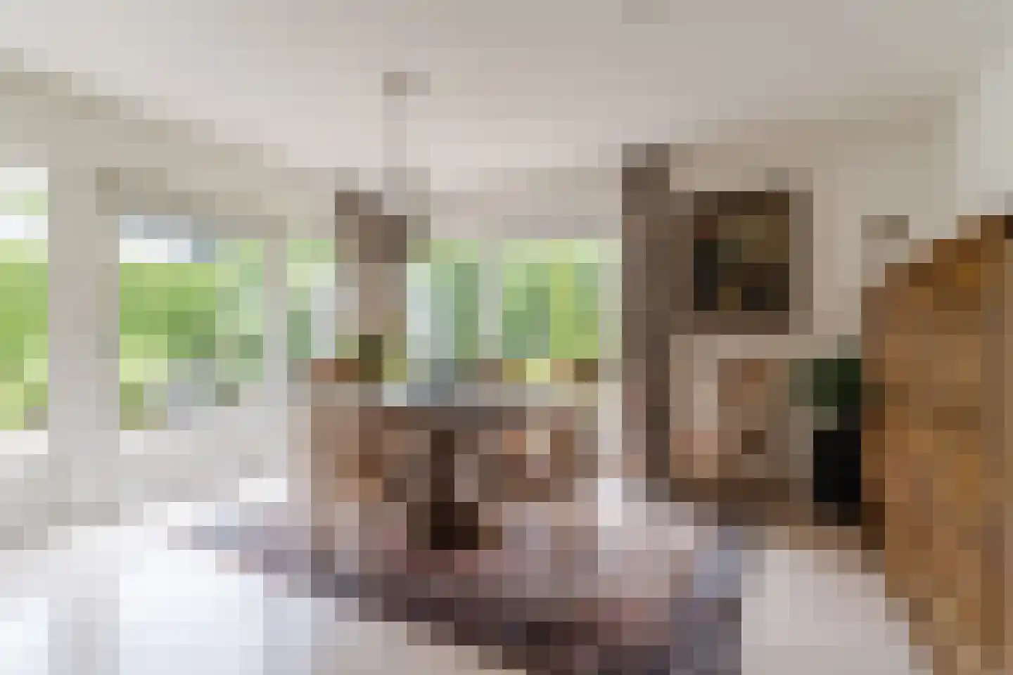 Borghoutspark 20 Veldhoven thumbnail 9