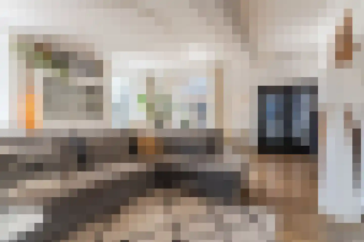 Borghoutspark 21 Veldhoven thumbnail 12