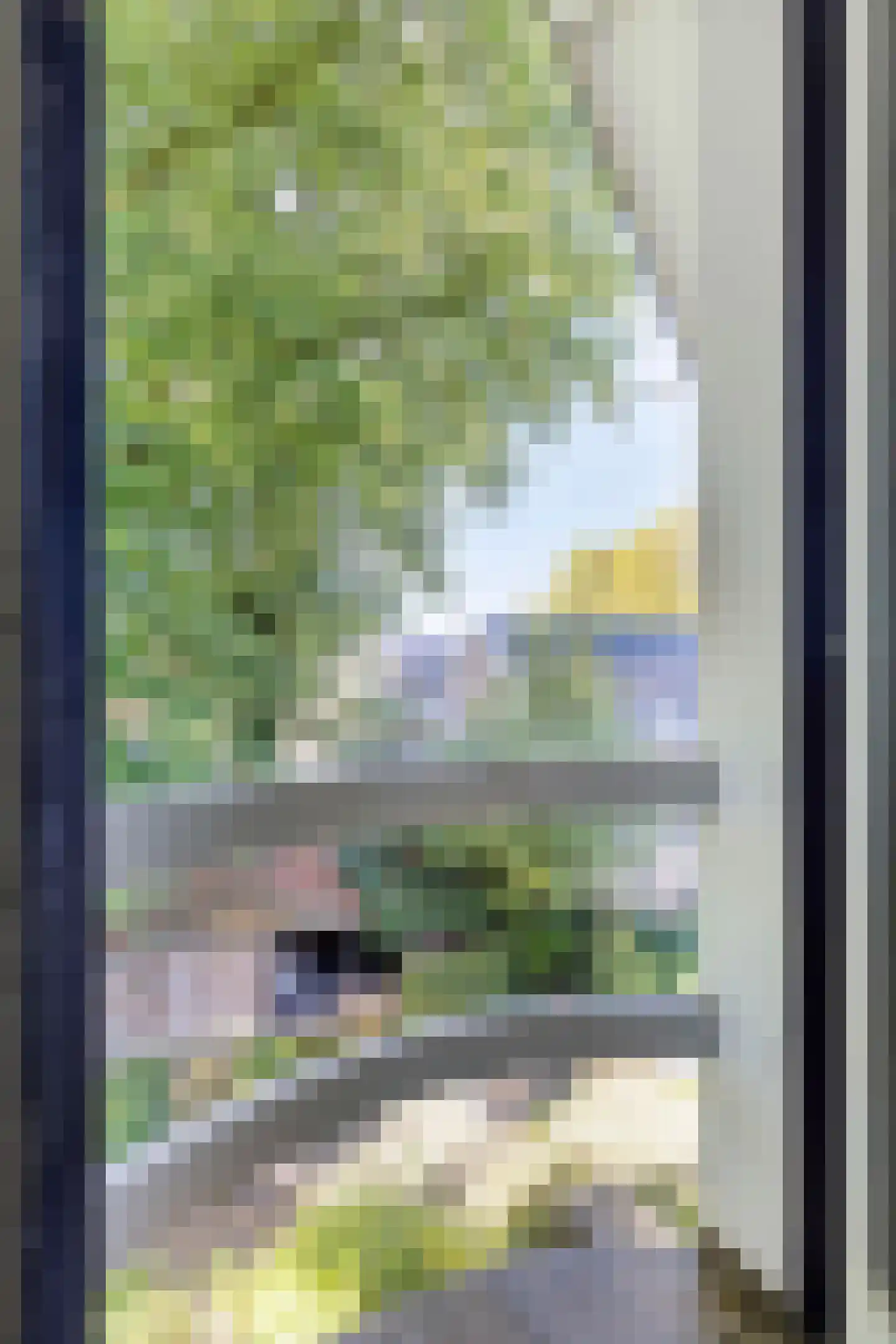 Borghoutspark 29 C Veldhoven thumbnail 38