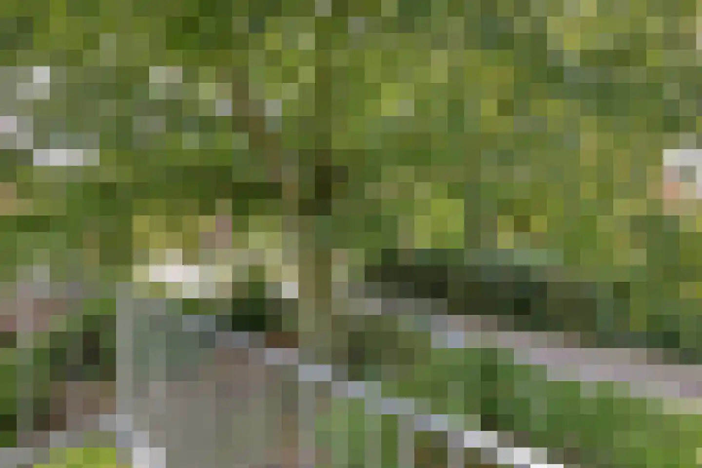 Borghoutspark 29 C Veldhoven thumbnail 43