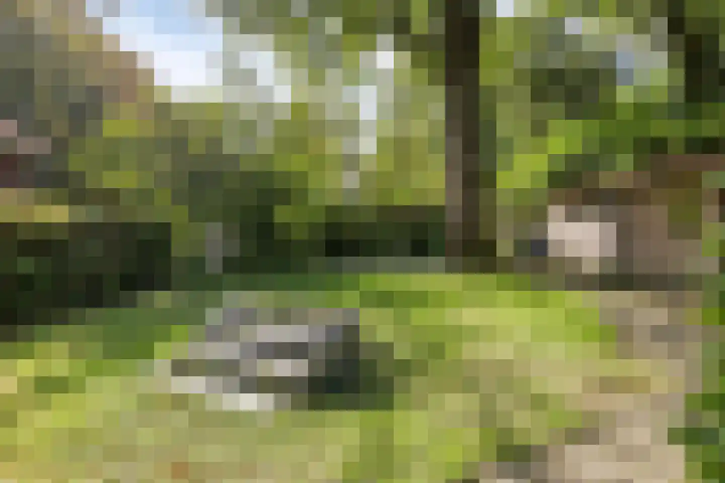 Borghoutspark 29 C Veldhoven thumbnail 44