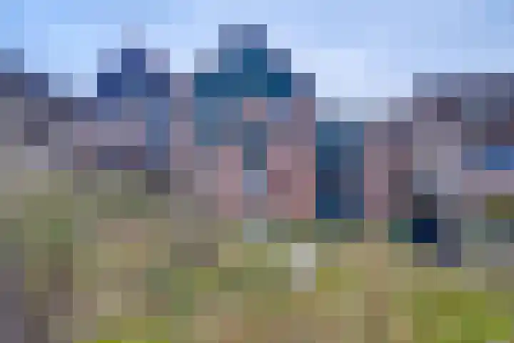 Borgman 17 Rietmolen thumbnail 24