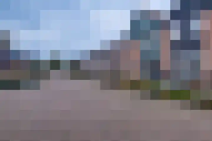 Borgman 17 Rietmolen thumbnail 27