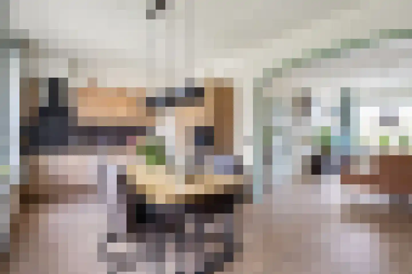 Borgmanstraat 21 Kloosterburen thumbnail 7