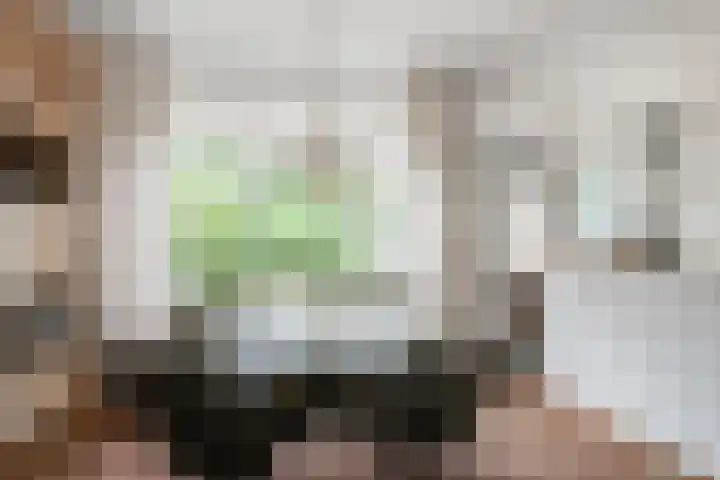 Borgsche Rieten 69 Terborg thumbnail 15