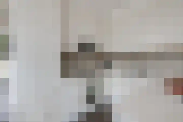 Borgsche Rieten 69 Terborg thumbnail 17