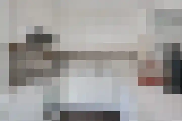 Borgsche Rieten 69 Terborg thumbnail 18