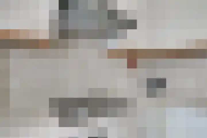 Borgsche Rieten 69 Terborg thumbnail 19