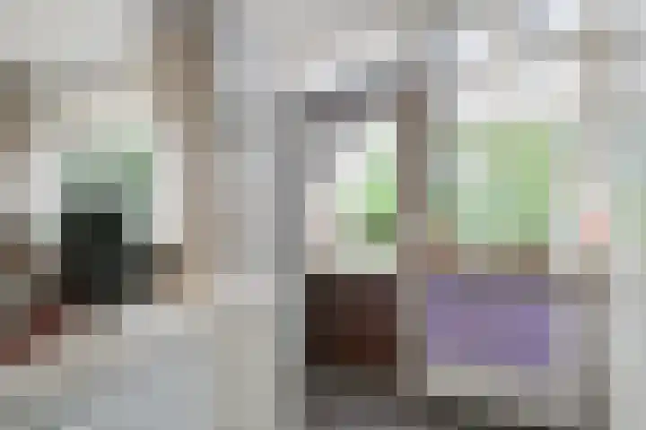 Borgsche Rieten 69 Terborg thumbnail 20