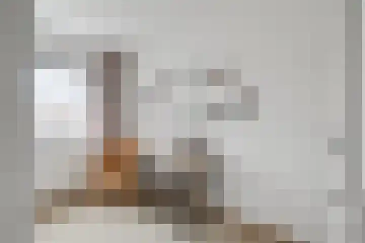 Borgsche Rieten 69 Terborg thumbnail 26
