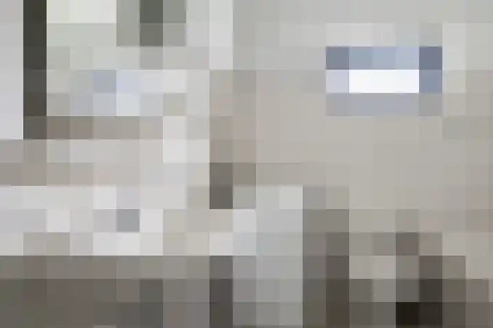 Borgsche Rieten 69 Terborg thumbnail 29