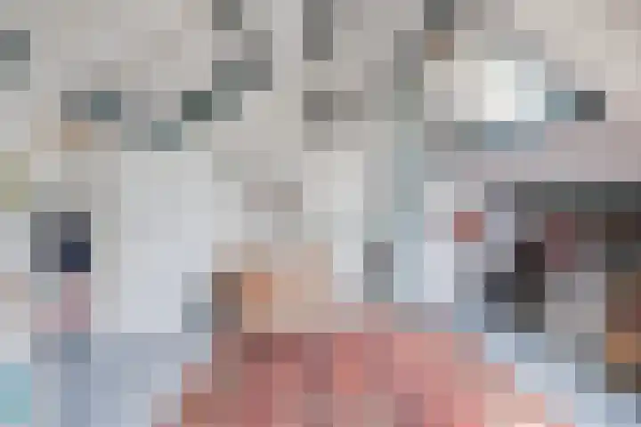 Borgsche Rieten 69 Terborg thumbnail 34