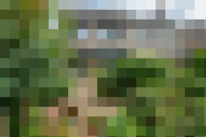 Borgsche Rieten 69 Terborg thumbnail 36