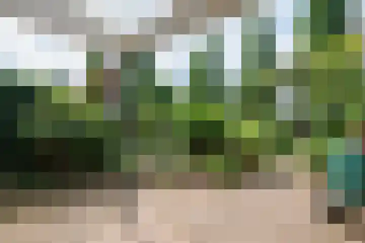 Borgsche Rieten 69 Terborg thumbnail 37