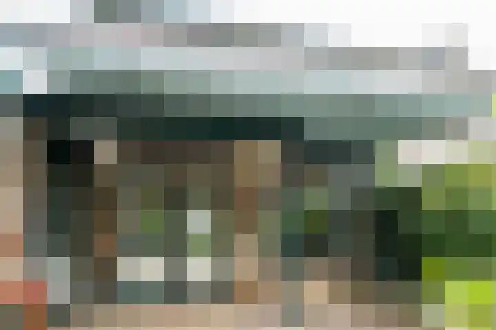 Borgsche Rieten 69 Terborg thumbnail 38