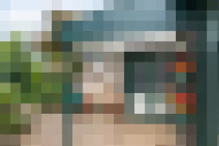 Borgsche Rieten 69 Terborg thumbnail 40