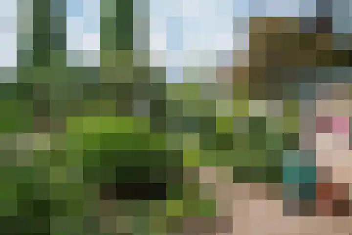 Borgsche Rieten 69 Terborg thumbnail 42