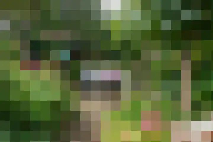 Borgsche Rieten 69 Terborg thumbnail 44