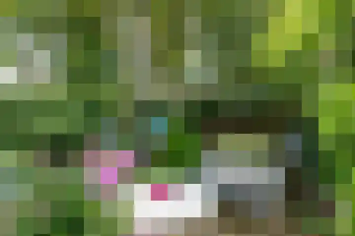 Borgsche Rieten 69 Terborg thumbnail 46