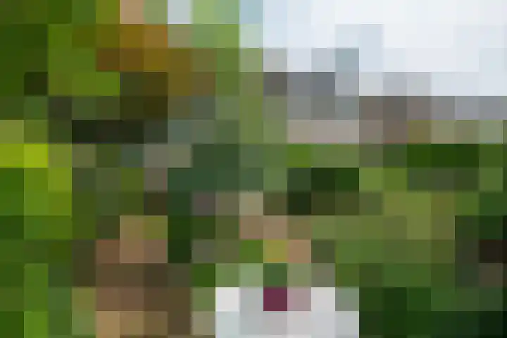 Borgsche Rieten 69 Terborg thumbnail 47
