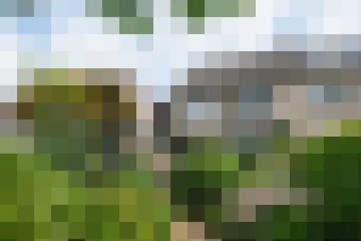 Borgsche Rieten 69 Terborg thumbnail 48