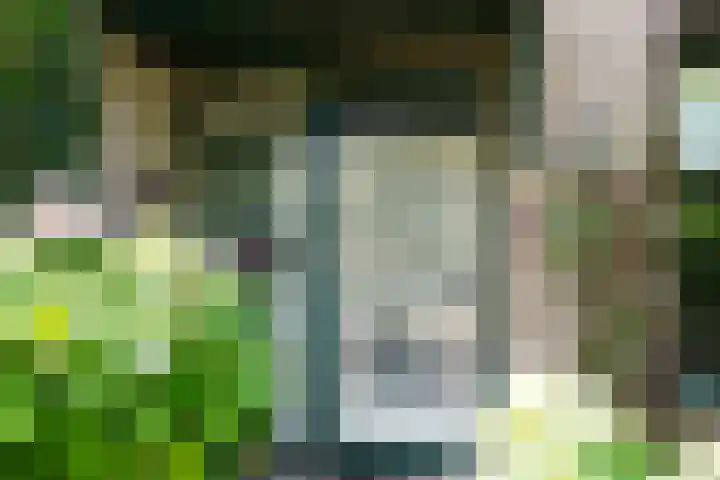 Borgsche Rieten 69 Terborg thumbnail 5