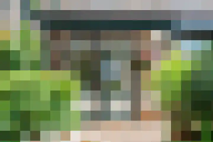 Borgsche Rieten 69 Terborg thumbnail 50
