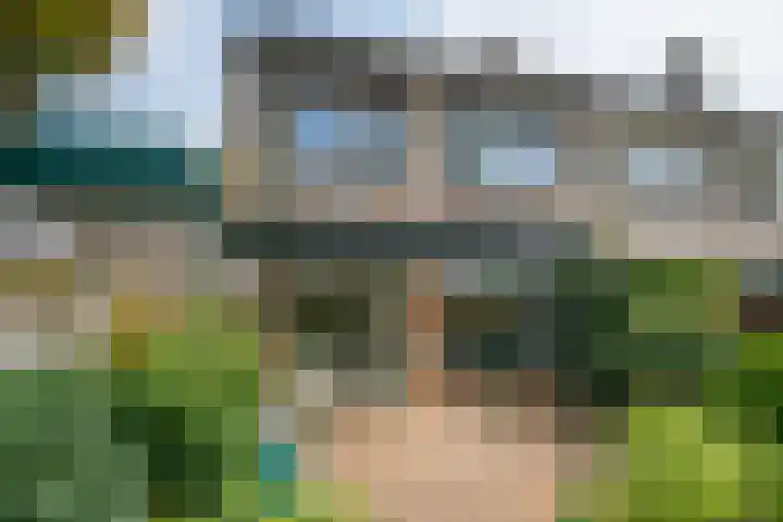 Borgsche Rieten 69 Terborg thumbnail 51