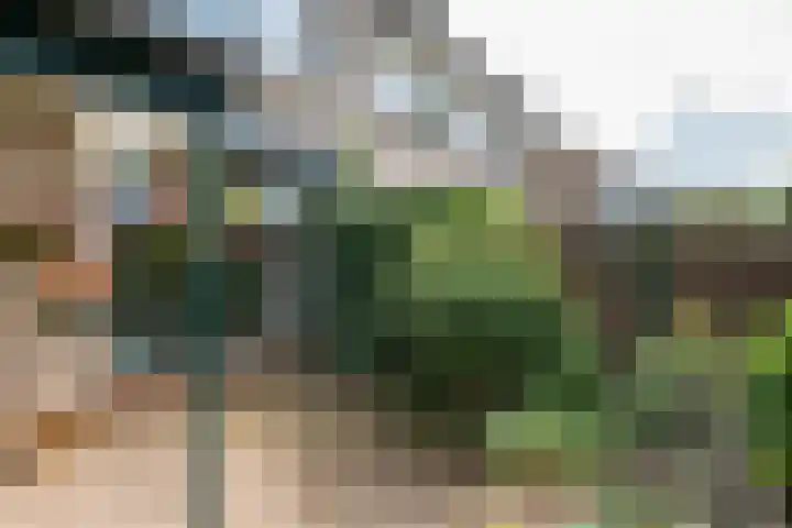 Borgsche Rieten 69 Terborg thumbnail 52