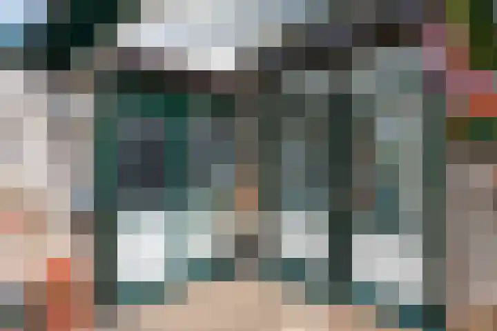 Borgsche Rieten 69 Terborg thumbnail 53