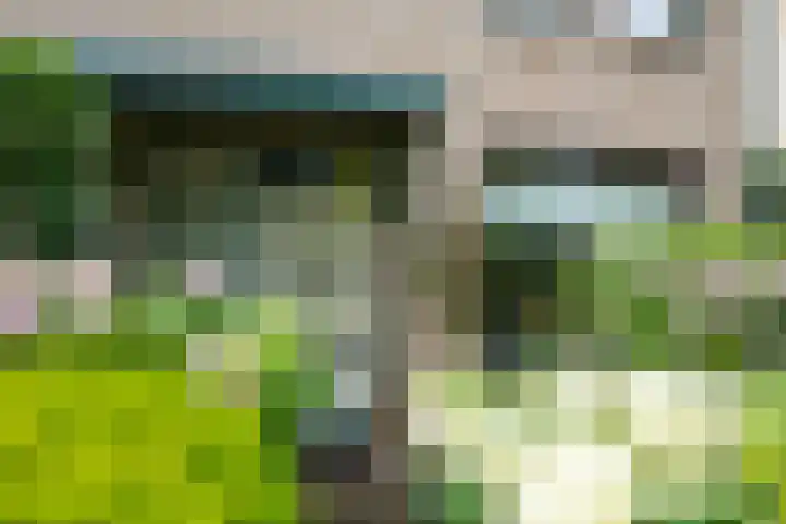 Borgsche Rieten 69 Terborg thumbnail 55
